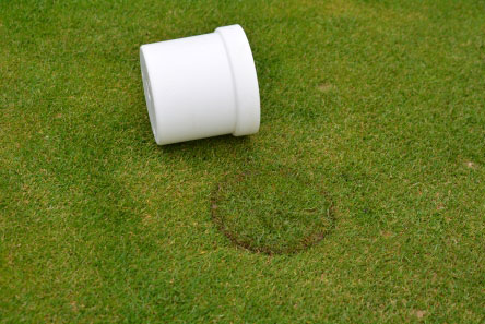 Invisible Cup Cover (iCUP)507