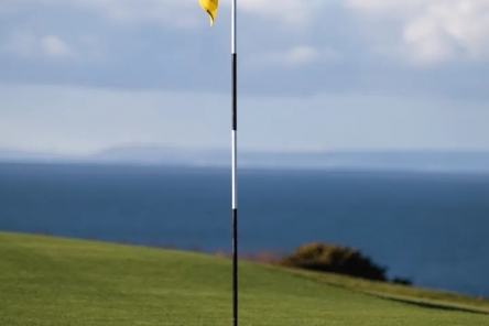 Deluxe links golf flag pin
