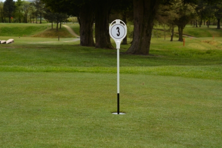 putting green flag with numbered shield top